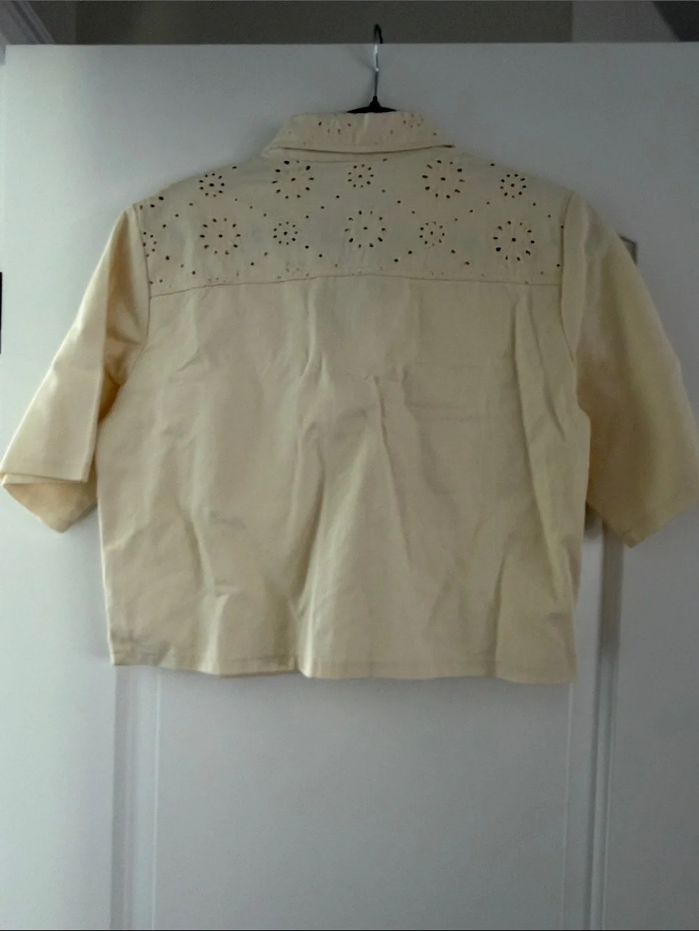 Solitaire Cream Eyelet Cropped Button-Front Top